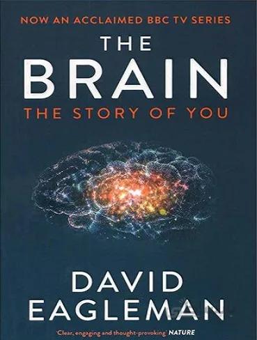 The Brain کتاب مغز