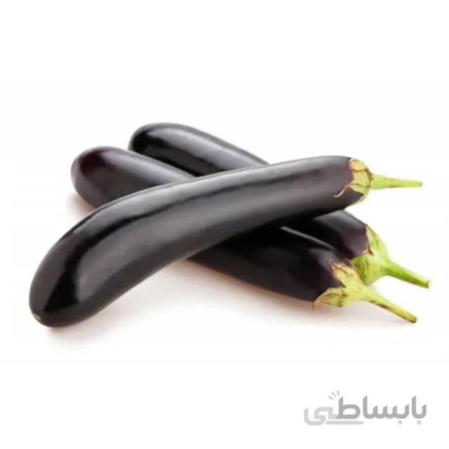 بذر بادمجان مشکی قلمی بسته ۴ گرمی