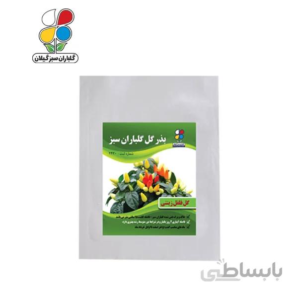 ( بسته 24 عددی ) بذر فلفل زینتی بزرگ