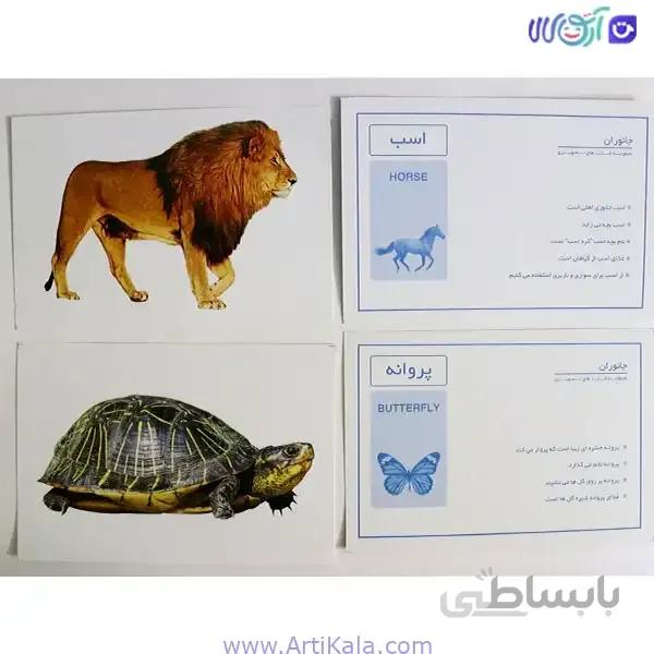 فلش کارت حیوانات دید آموز بزرگ