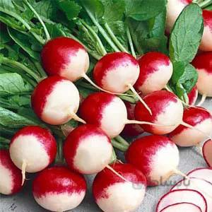 بذر تربچه گرد دو رنگ