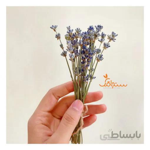 اسطوخودوس ( ۲۰شاخه)