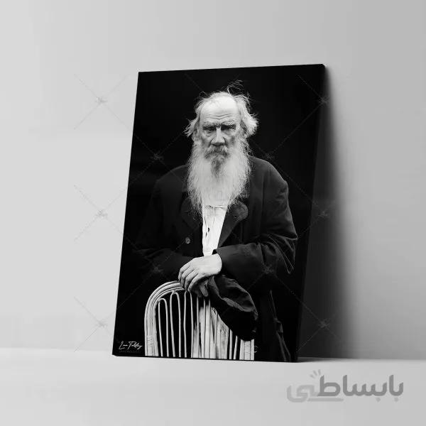 تابلو شاسی آواویز مدل لئو تولستوی کد 4G570