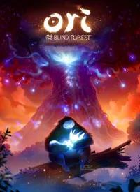 سی دی کی اورجینال Ori and the Blind Forest
