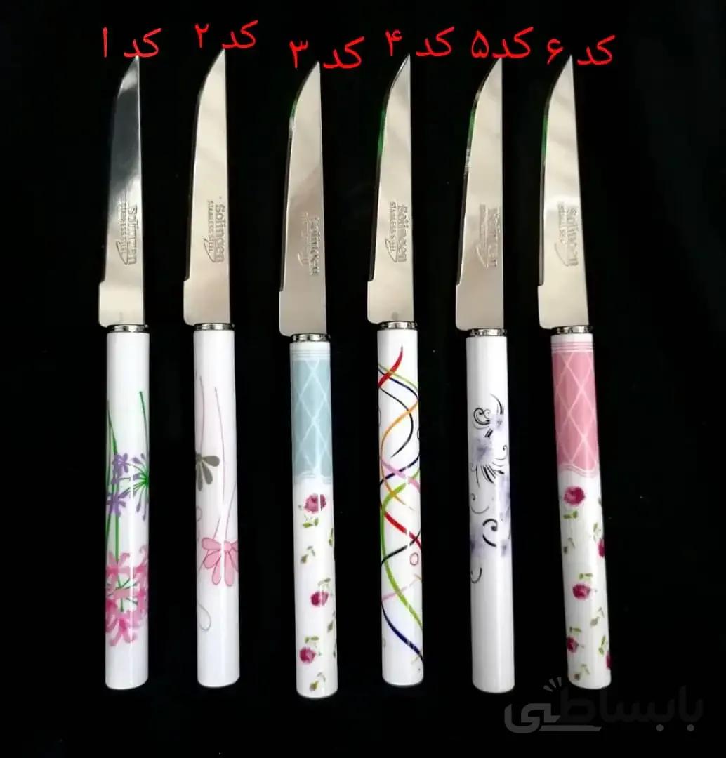 کارد میوه خوری 12 عددی solingen