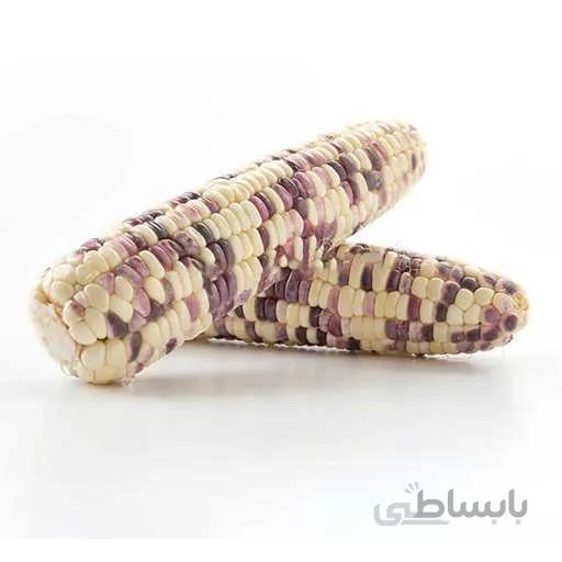 بذر ذرت بنفش و سفید میکس
