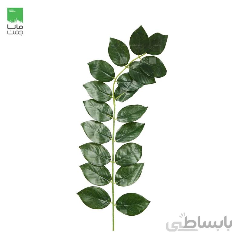 گياه مصنوعي مدل برگ پرتقال – بسته 10 عددی
