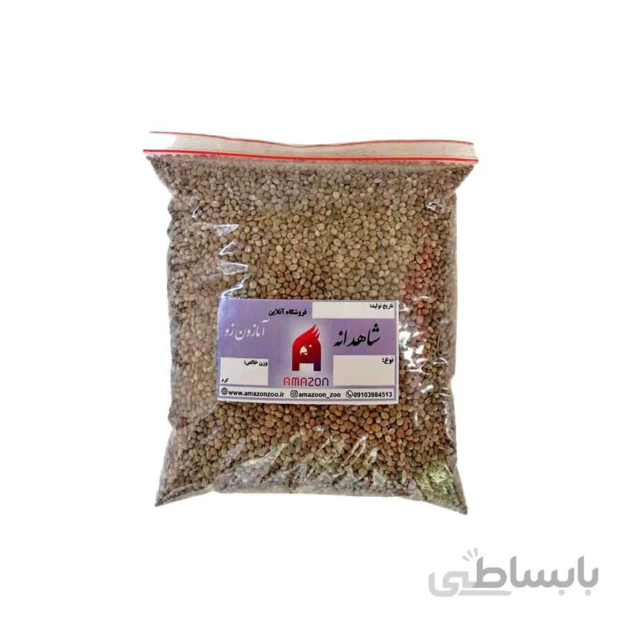 شاهدانه درشت
