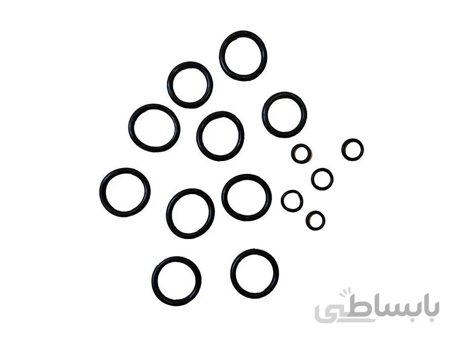 مجموعه اورینگ پکیج بوتان کالداونزیا