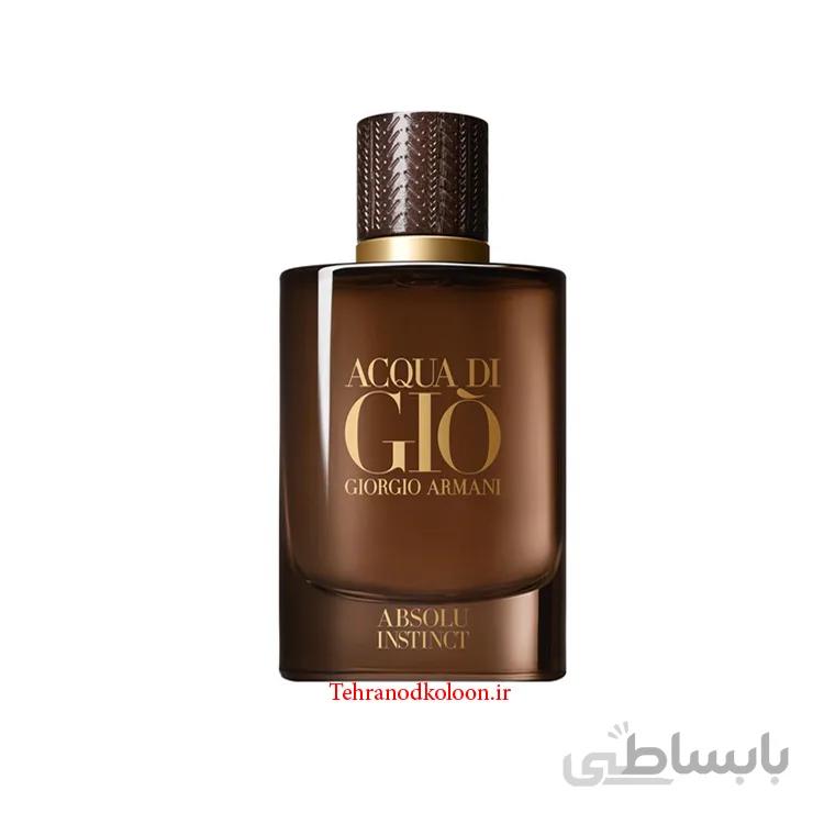Acqua di Giò Absolu Instinct