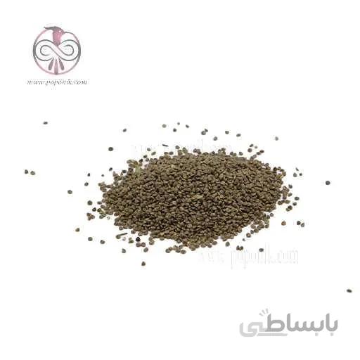 تخم مرو