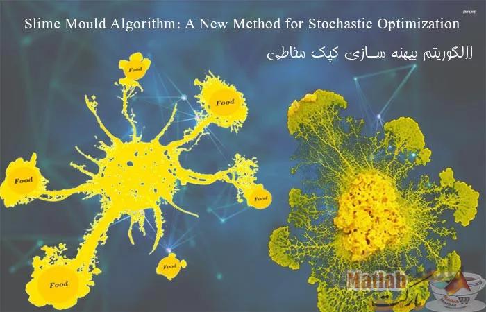کد متلب الگوریتم کپک مخاطی : کد الگوریتم SMA با توضیحات خط به خط