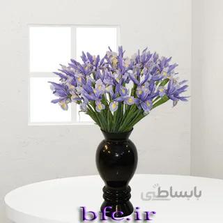 زنبق