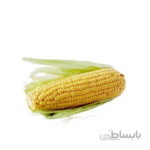 بذر ذرت شیرین