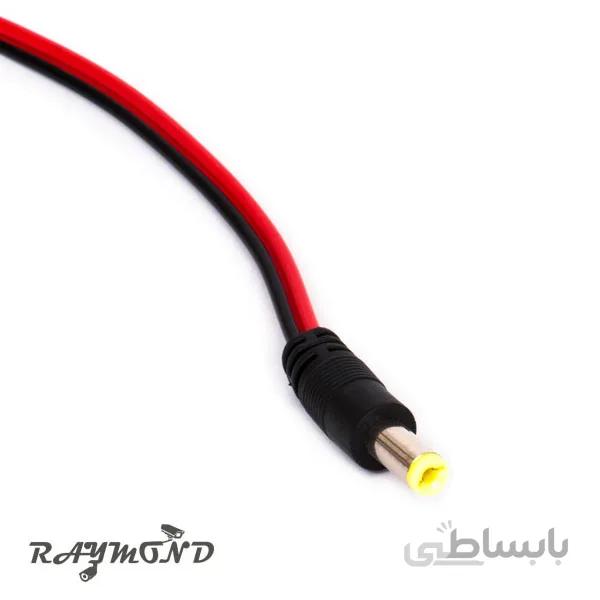 فیش آداپتوری نری سیم دار Raymond