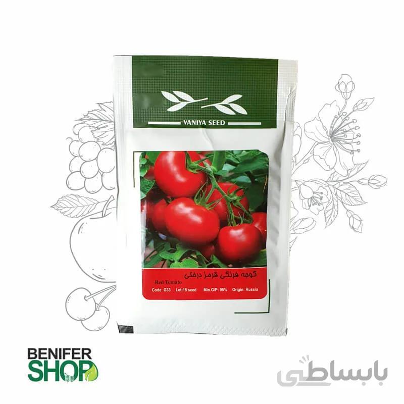بذر خانگی گوجه فرنگی قرمز درختی