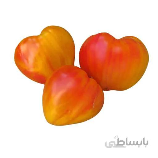 بذر گوجه قلبی نارنجی درختی