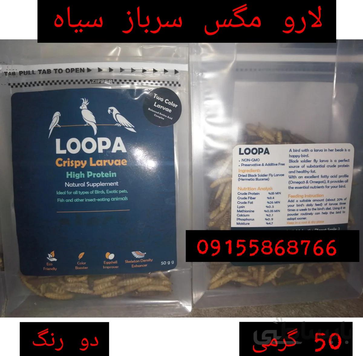 لارو مگس سرباز سیاه دو رنگ (50 گرمی) ا Tow colour 50g
