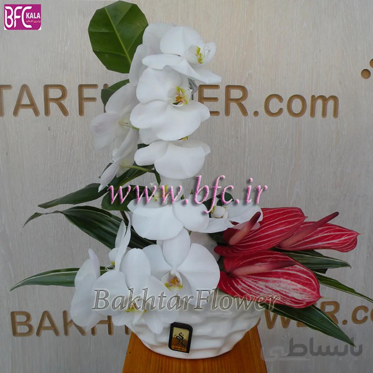 گلدان ارکیده و آنتریوم