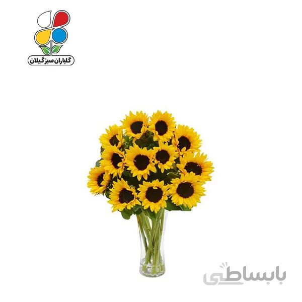 بذر گل آفتابگردان زینتی بسته 3 عددی مدل GPSF7L