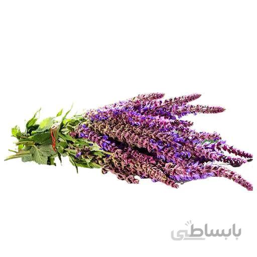 بذر مریم گلی