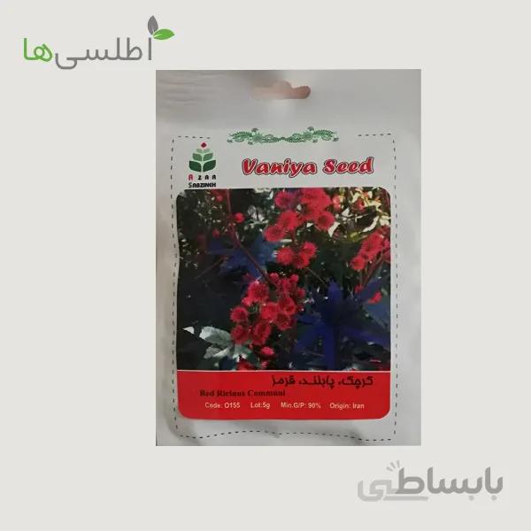 بذر کرچک بید انجیر