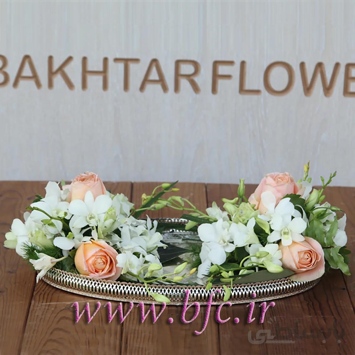 جا حلقه ای