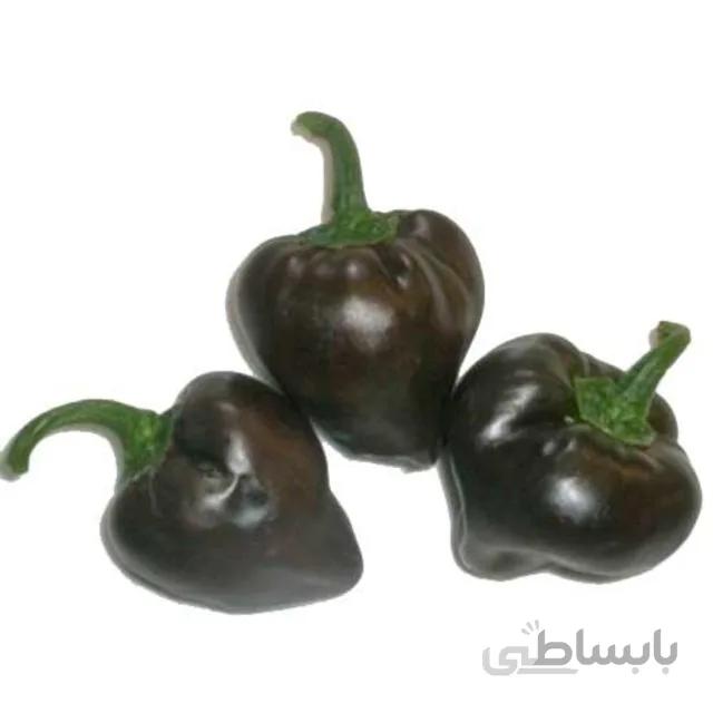 بذر فلفل قلبی بنفش بسته ۵۰ عددی