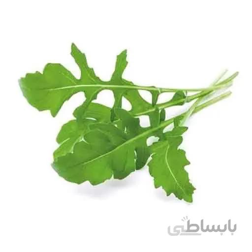 بذر راکولا باغی سالادی