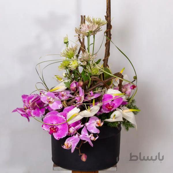سبد گل ارکیده