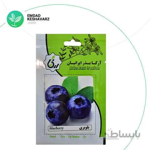 بذر بلوبری آرکا بذر