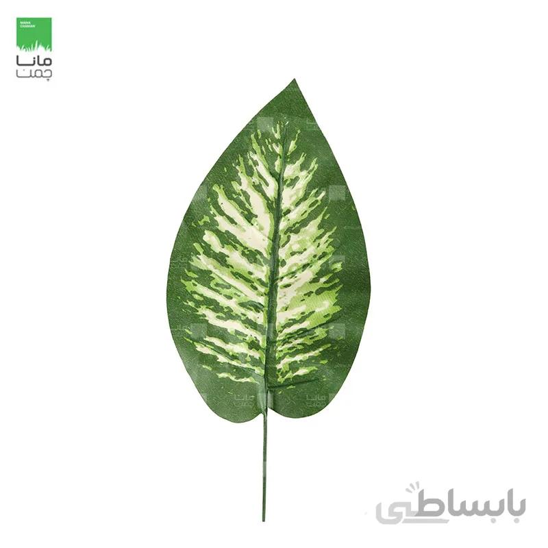 گیاه مصنوعی مدل برگ دیفن باخیا – بسته 10 عددی