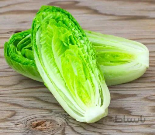 بذر کاهو سیاهو بسته 800 عددی