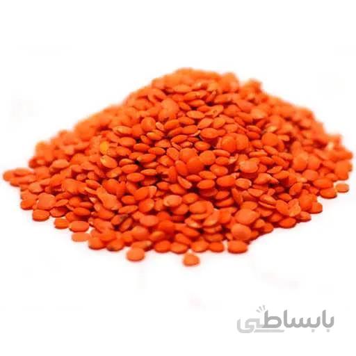 بذر عدس قرمز