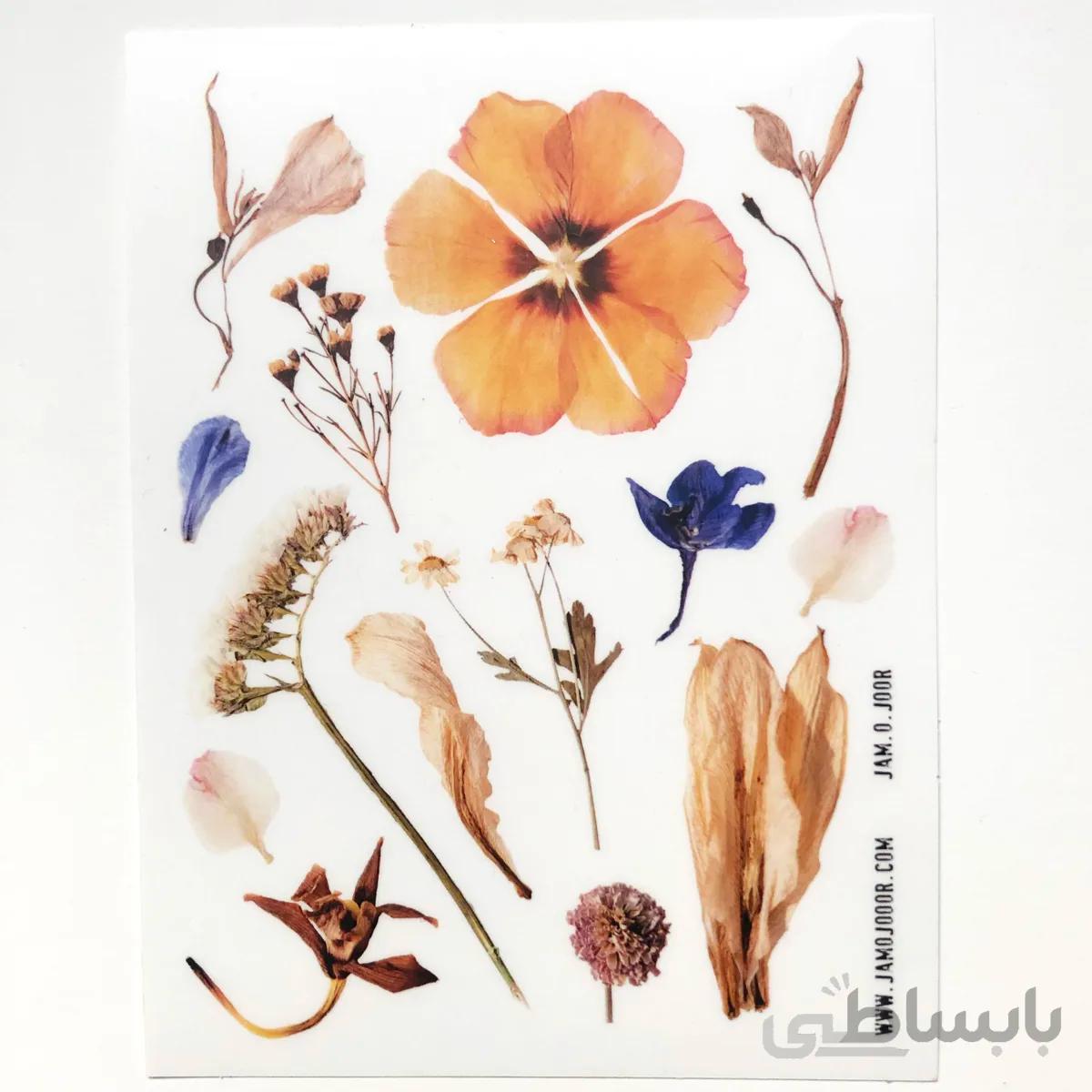 استیکر شفاف گل خشک