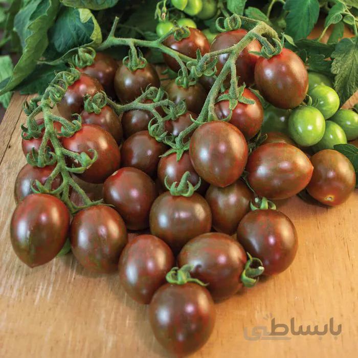 گوجه شکلاتی ( بذر اورگانیک )