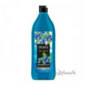 شامپو موی سر مغذی مدل Extra Nourish نیوتیس 750 میل
