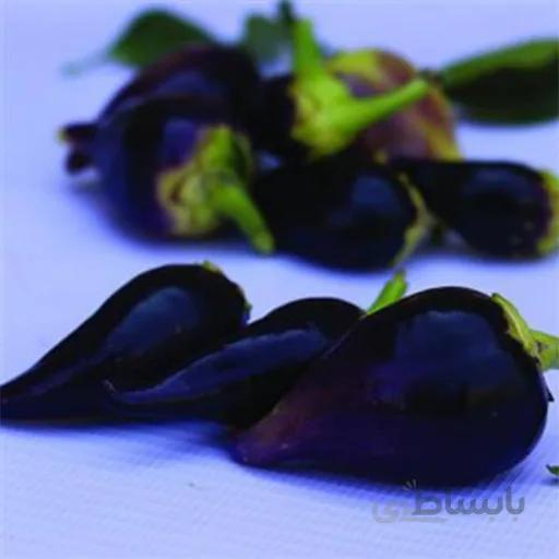 بذر فلفل بیکیونهو بنفش