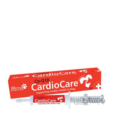 مکمل خمیری تقویت قلب Mervue مخصوص سگ - 30 میلی لیتر