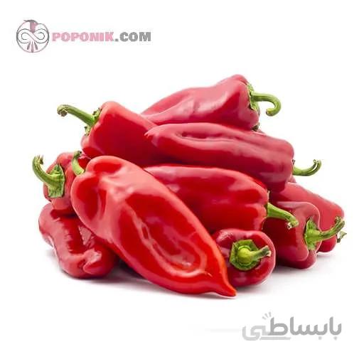 بذر فلفل پاپریکا تند