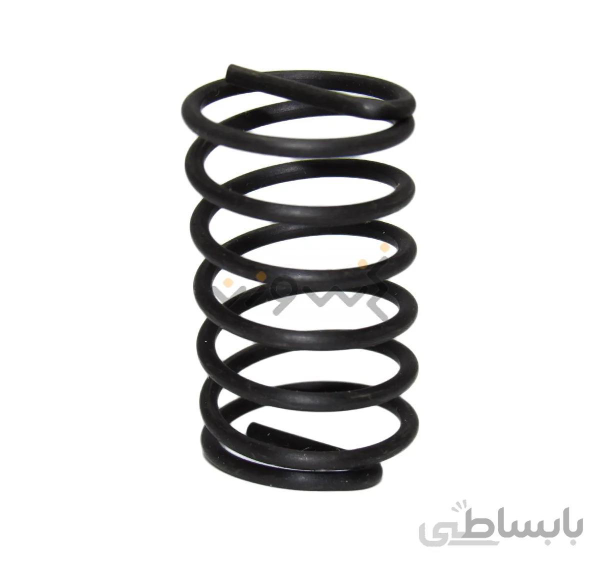 فنر یاتاقان لغزنده سرکیسه چینی