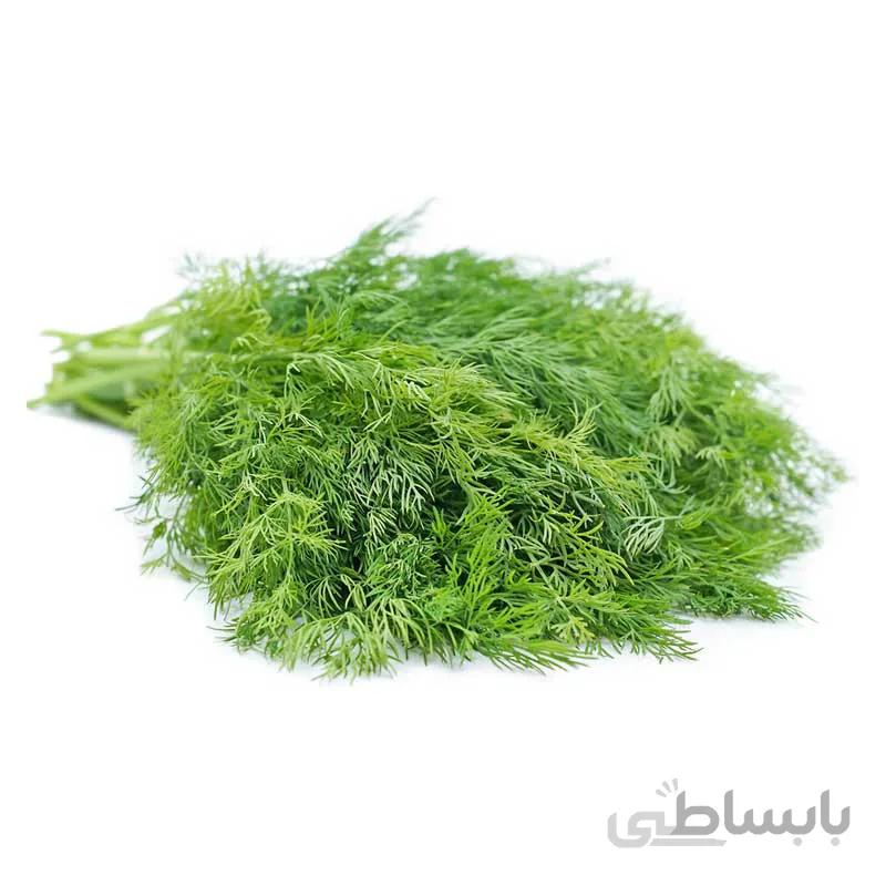 بذر شوید پا کوتاه