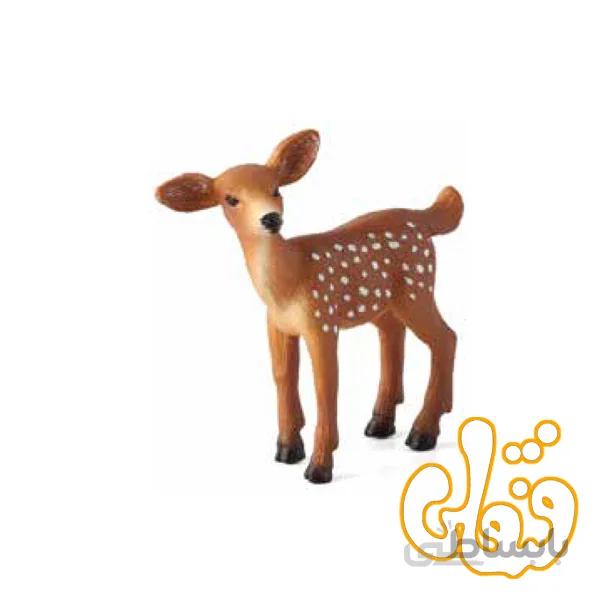 بچه گوزن دم سفید White Tailed Deer Fawn 387036