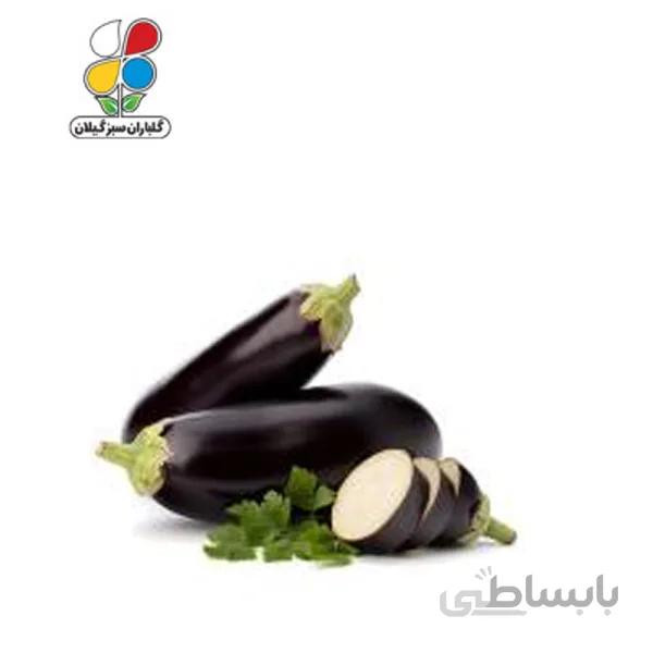 بذر بادمجان قلمی بسته بندی کوچک مدل GPSS7S