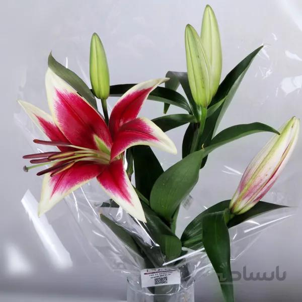 دسته گل کوچک لیلیوم