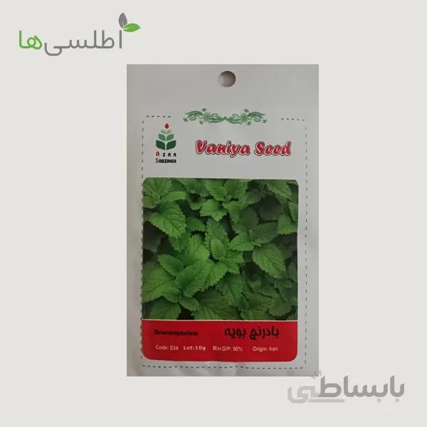 بذر بادرنجبویه