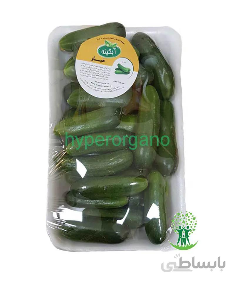 خیار ارگانیک آبگینه