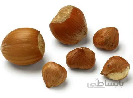فندق با پوست 10کیلویی