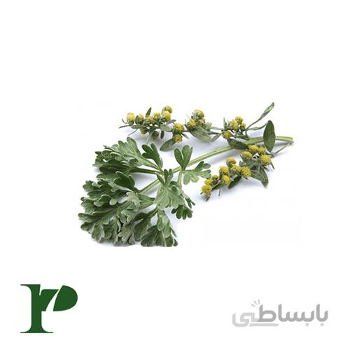 افسنطین بسته‌ی 100 گرمی