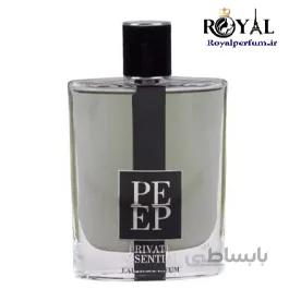 عطر ادکلن پرایویت اسنشیال مردانه فراگرنس ورد fragrance world pe ep private